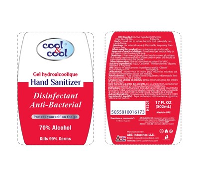 500ml Sanitizer Disinfectant (Disinfectant Hand Sanitizer 500ml)